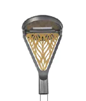 Jaquar Oak Ovation
